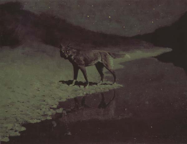 Moon-light,wolf (mk43)